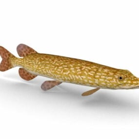 Northern Pike Fish Animal דגם תלת מימד