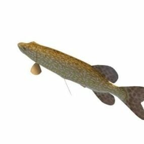 Northern Pike Fish 3d model