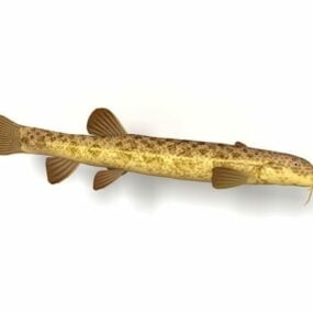 Modello 3d del pesce testa di serpente settentrionale animale