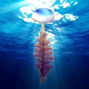 3d модель океанської медузи
