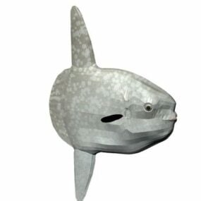 Ocean Sunfish Fish Animal 3d model