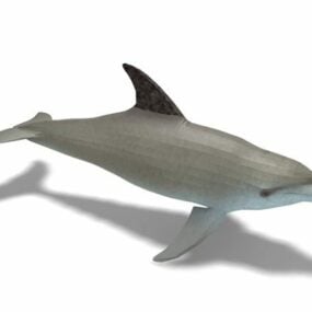 Mô hình 3d động vật cá heo đại dương