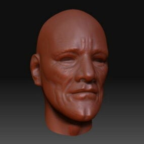 Modelo 3d de malha esculpida de cabeça de homem mais velho