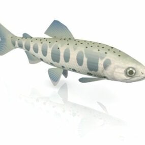 Tier Oncorhynchus Masou Fisch 3D-Modell