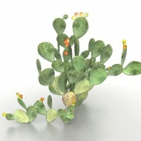 ウチワ サボテンの植物 3D モデル
