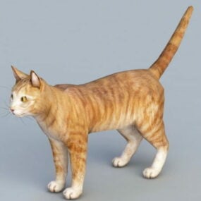 Model 3d Kucing Jingga