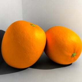 Orange Fruit 3d model