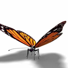 Model 3D Kupu-kupu Oranye