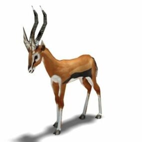 Orange Gazelle Dyr 3d-model