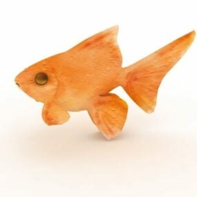 Orange Goldfish Animal 3d model
