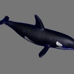 حيوان الحوت Lowpoly 3d نموذج
