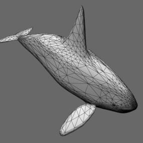דגם תלת מימד של חיות אורקה לוויתן