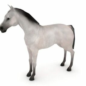 Modello 3d animale cavallo orientale