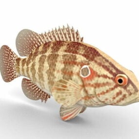 Modello 3d animale pesce persico orientale