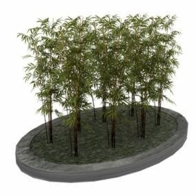 花坛床上的观赏竹植物3d模型