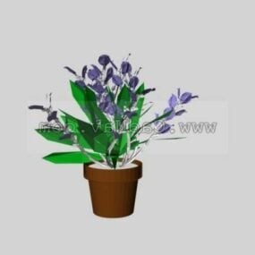 Ornamental Flower Plant 3d model
