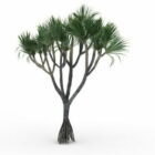 Ozdobne Palm Tree