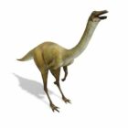 Ornithomimus Dinozor Hayvan