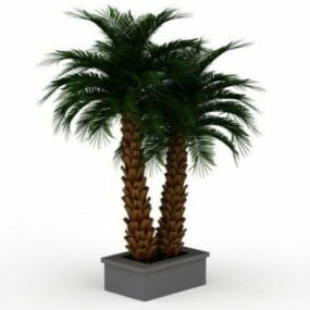 Plantas de palmeras en macetas al aire libre modelo 3d