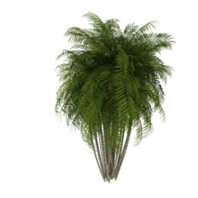 Pacaya Palm Tree 3d model