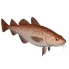 Pacific Cod Fish Animal