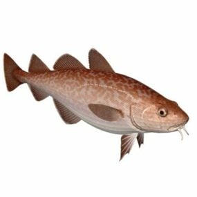 Тихоокеанська тріска риба тварина 3d модель