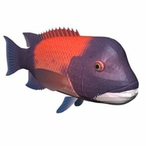 Pacific Sheepshead Fish Animal 3D-malli