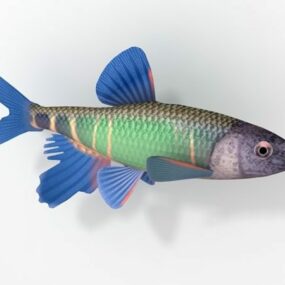 Pale Chub Fish Animal 3d model