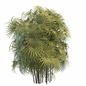 3D model palmové bambusové rostliny