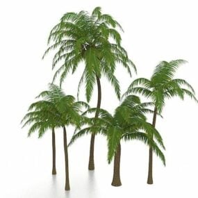 Model 3d Lanskap Tropis Pohon Palem