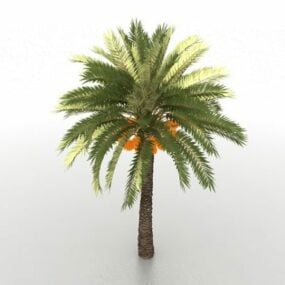 شجرة النخيل مع نبات جوز الهند نموذج ثلاثي الأبعاد