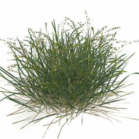 Panic Grass 3d model