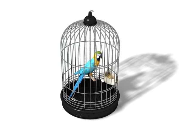 Parrot Bird In Cage