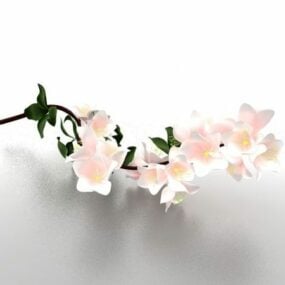 Pear Blossom Flower 3d model