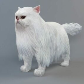 نموذج القط الفارسي ثلاثي الأبعاد