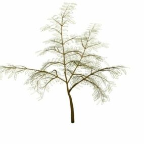 Persian Silk Tree 3d model