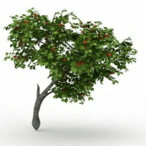 3д модель дерева хурмы