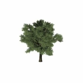 Pine Tree In Snow Landscape 3d model