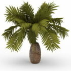 Ananas Palmboom