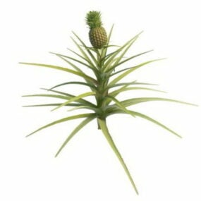 نموذج نبات الأناناس ثلاثي الأبعاد