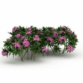 粉红色的花朵植物3d模型