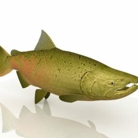동물 핑크 연어 물고기 3d 모델