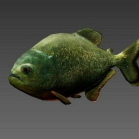 Piranha Fish Animated Rig 3d model