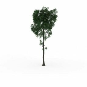 ピスタチオの木3Dモデル