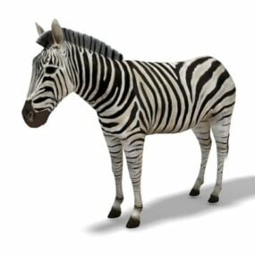 African Zebra Horse 3d model