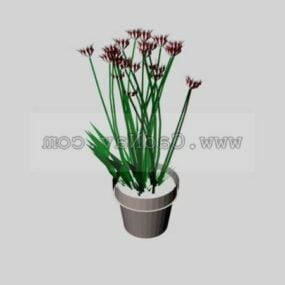 Pot Flower Plant 3d model