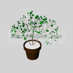 Pot Foliage Plant 3d model