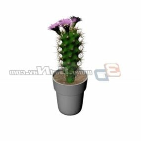 Potted Cactus Plant 3d model