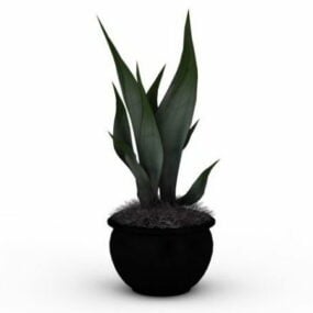3D-Modell einer eingetopften Aloe-Pflanze