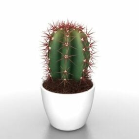 Modello 3d di piante di cactus in vaso